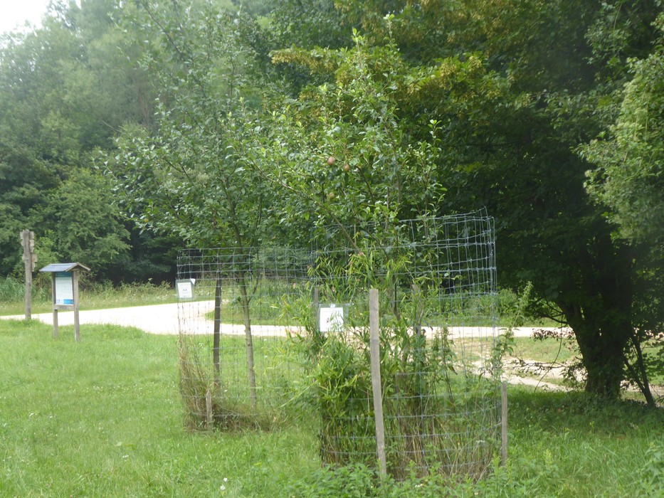 Szénpajta pihenő, 2025.