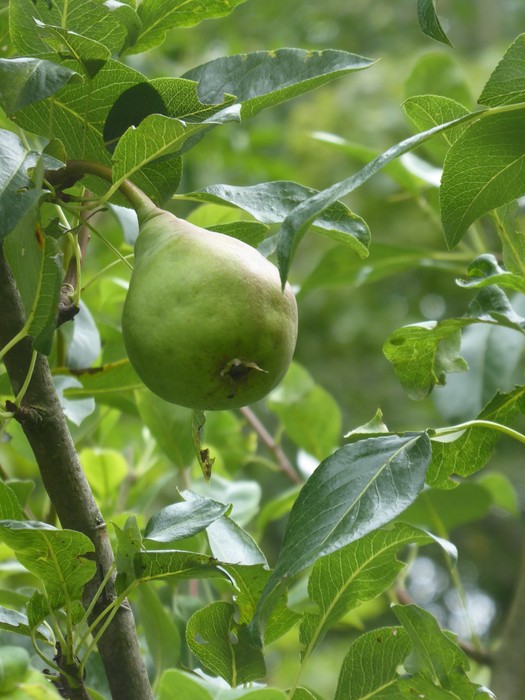 Szénpajta pihenő, 2025.